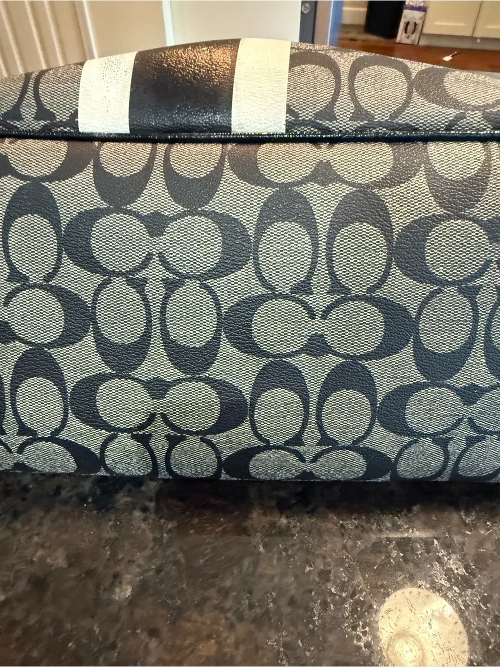 Coach Gray and Black Signature Stripe Tote